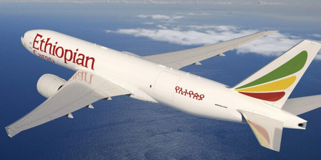 miniature Avion