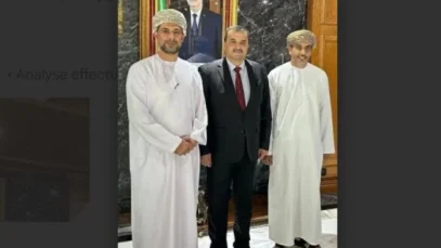 united-business-veut-investir-en-algerie-696×392
